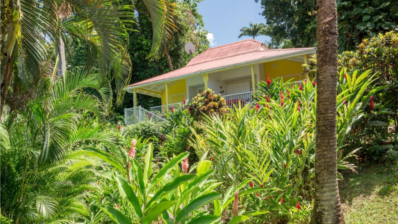 ブイヤント Les Jardins De L'Esperanceヴィラ エクステリア 写真