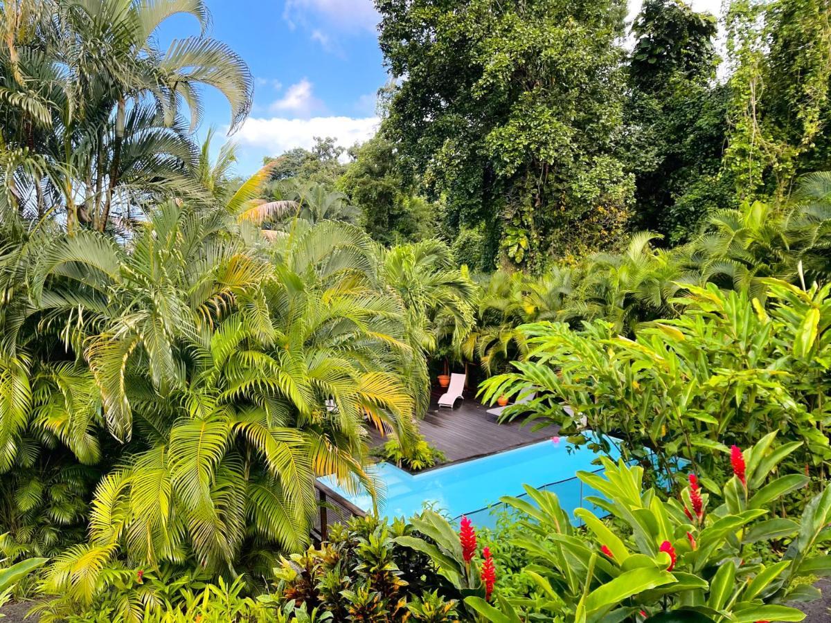 ブイヤント Les Jardins De L'Esperanceヴィラ エクステリア 写真