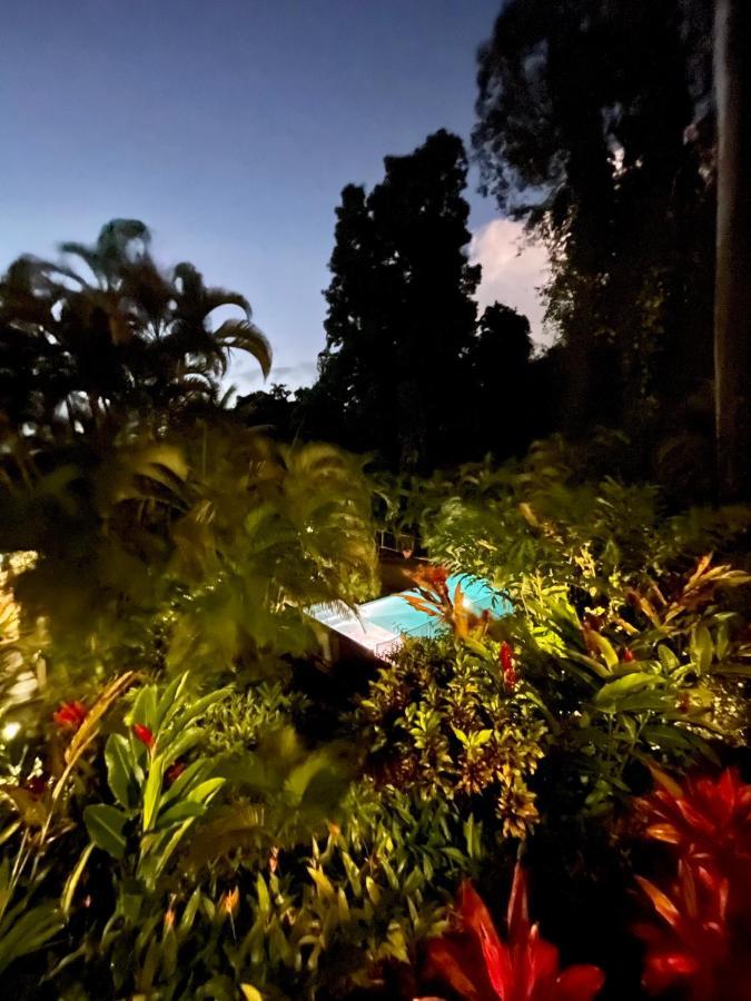 ブイヤント Les Jardins De L'Esperanceヴィラ エクステリア 写真