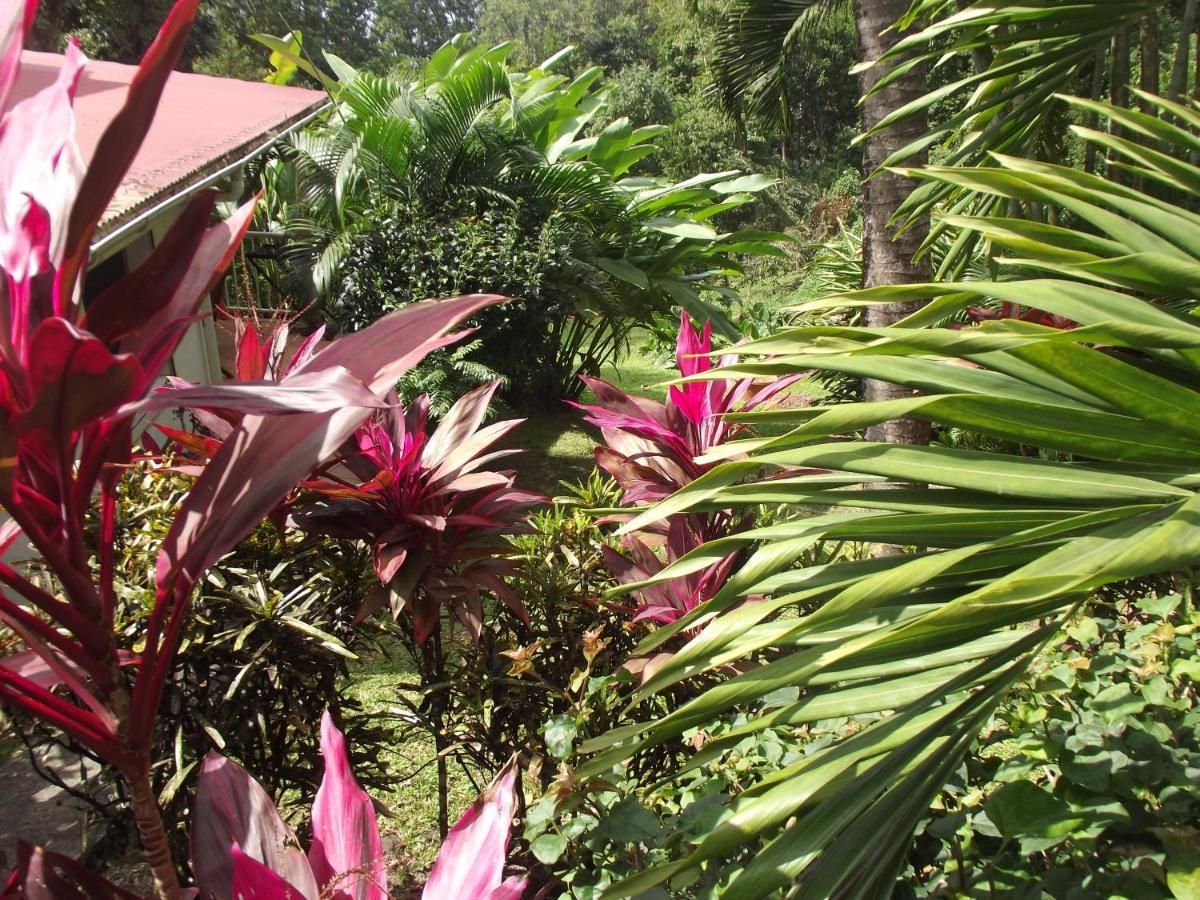 ブイヤント Les Jardins De L'Esperanceヴィラ エクステリア 写真