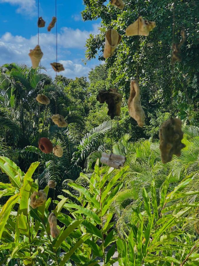 ブイヤント Les Jardins De L'Esperanceヴィラ エクステリア 写真